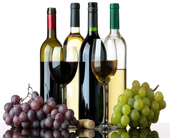 VINO - WINE - VINHO